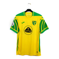 2021/22 - Norwich City - Pukki #22 (XL)