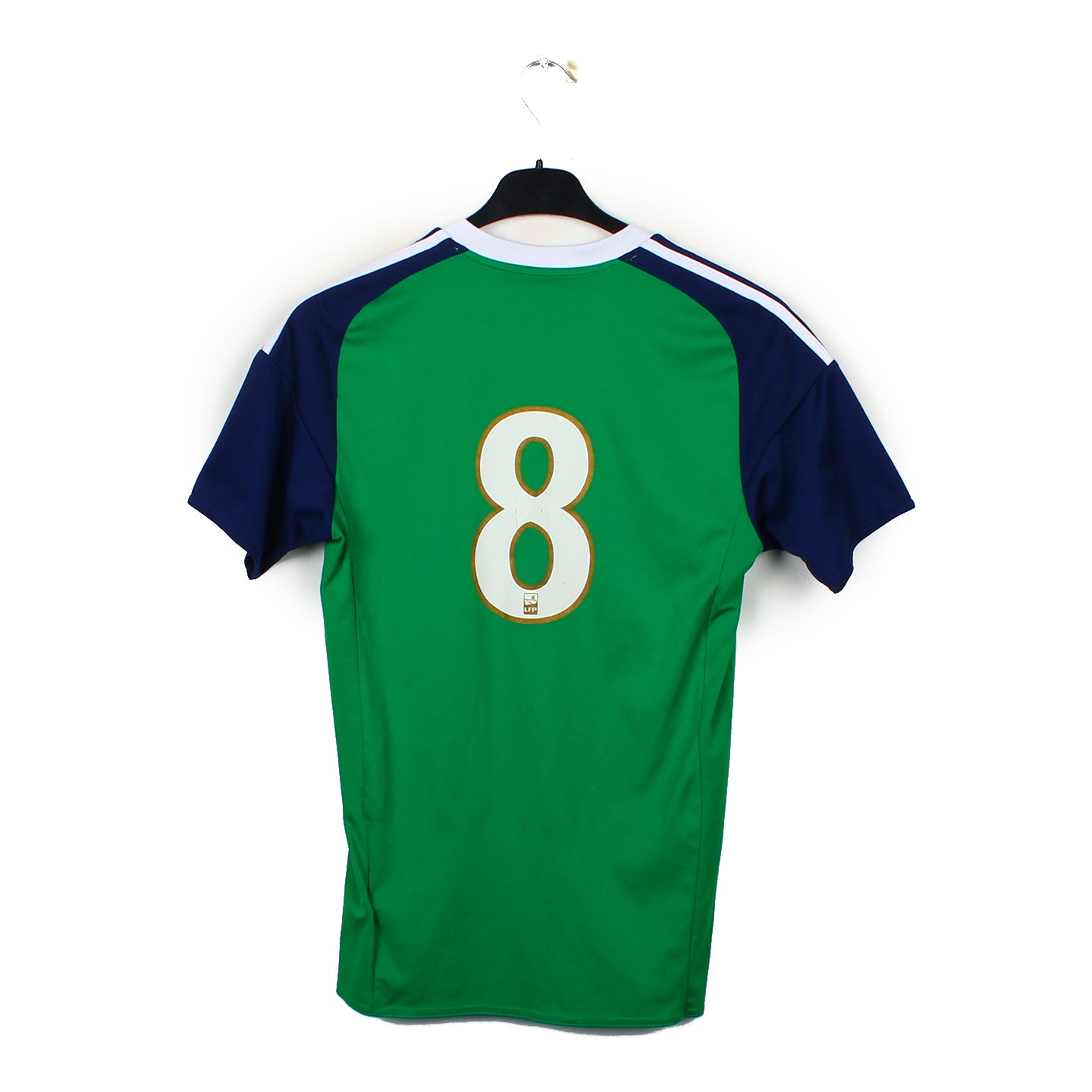 2016/17 - Irlande du Nord #8 (S)
