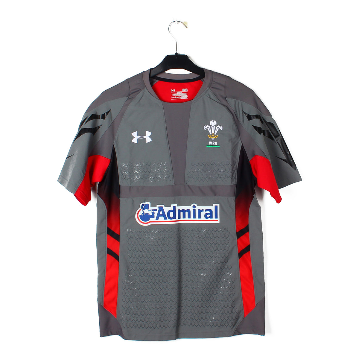 2013 - Pays de Galles - Rugby (L) [pro]