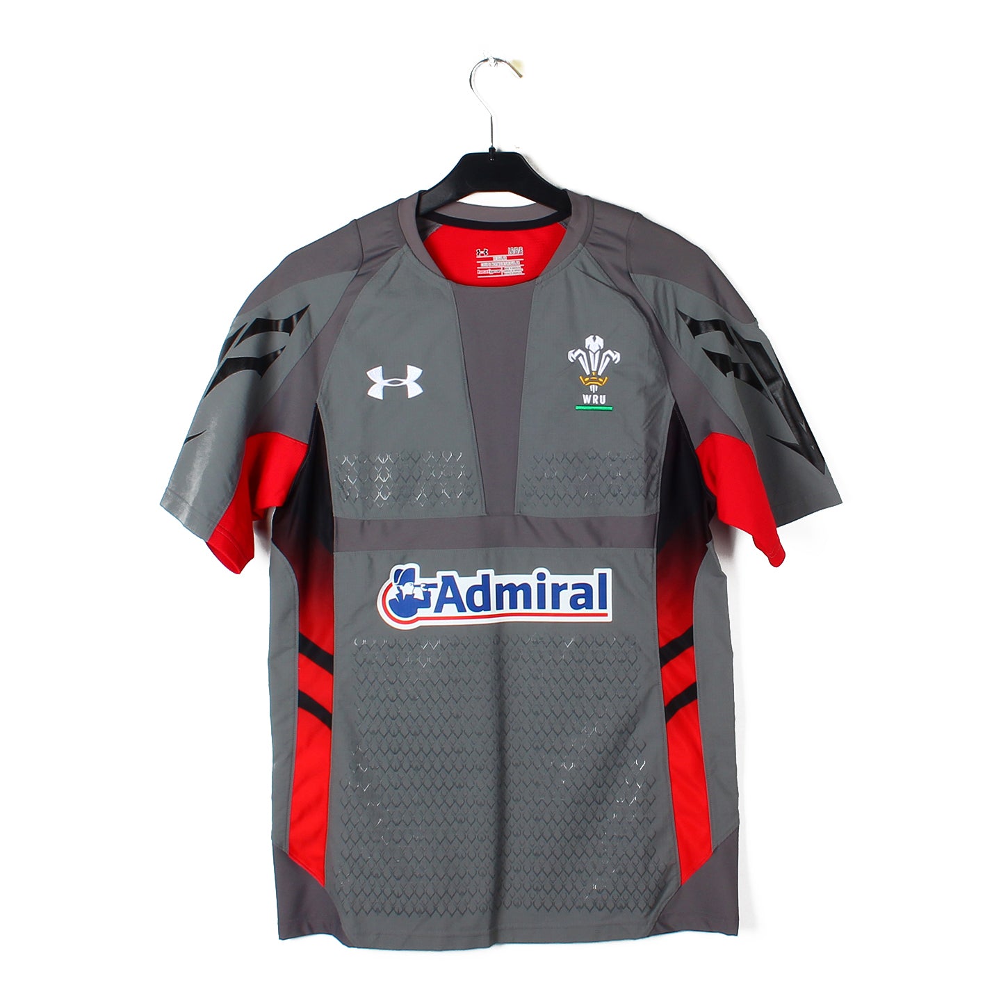 2013 - Pays de Galles - Rugby (L) [pro]